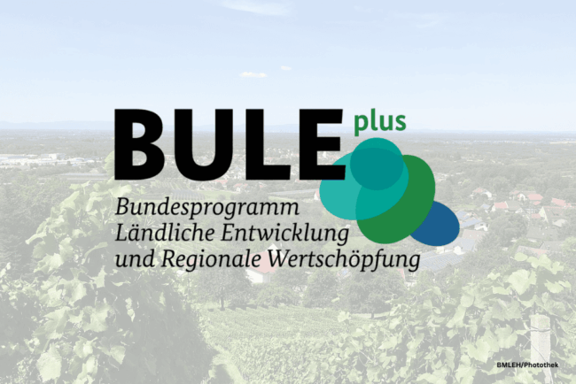 2025-09-22-Bule.plus-neue Förderung-Land-Heimat-Innovativ