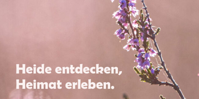 beitragsbild-les-neu