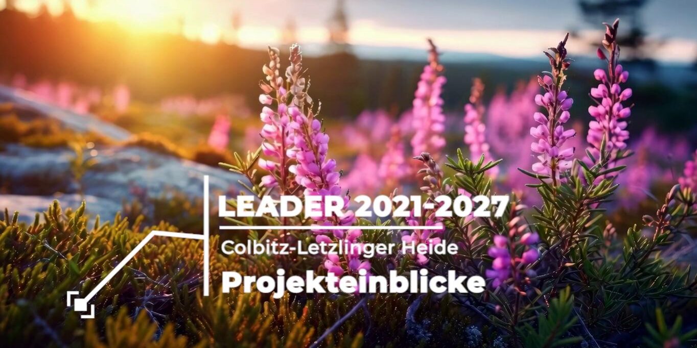 leader-projekteinblicke