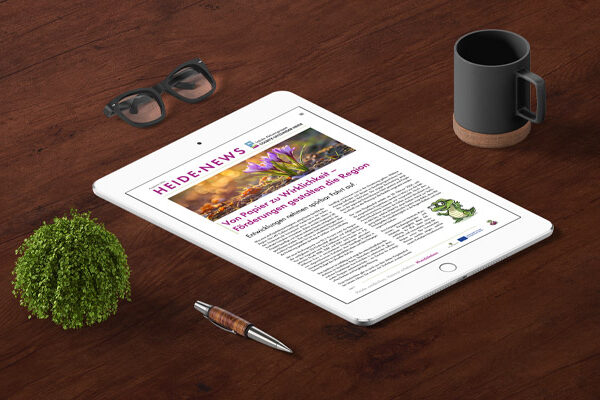 newsletter-0126-beitragsbild