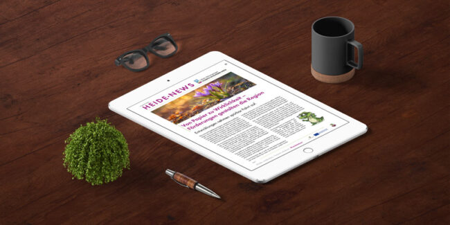 newsletter-0126-beitragsbild