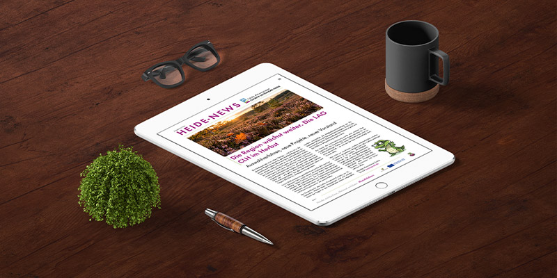 newsletter-0326-vorschaubild